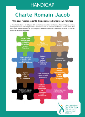 charte Romain Jacob puzzle avec logo